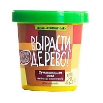 Картинка Набор ВЫРАСТИ ДЕРЕВО! zk-047 Сумасшедшая роза от магазина gnom.land