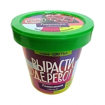 Картинка Набор ВЫРАСТИ ДЕРЕВО! zk-067 Глоксиния гибридная от магазина gnom.land