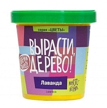 Картинка Набор ВЫРАСТИ ДЕРЕВО! zk-030 Лаванда от магазина gnom.land