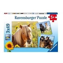 Картинка Ravensburger Пазл "Пони", 3х49 элементов от магазина gnom.land