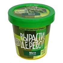 Картинка ВЫРАСТИ ДЕРЕВО! Набор для выращивания Мята яблочная от магазина gnom.land